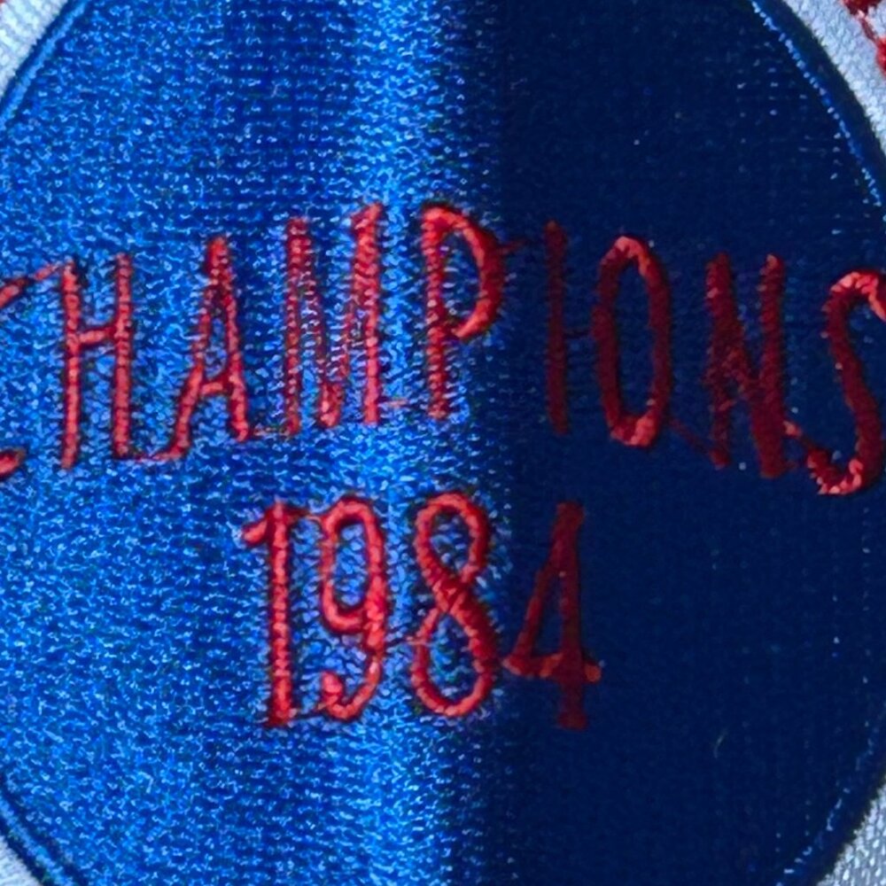 1980s CHICAGO CUBS RYNE SANDBERG Men's JERSEY M,L,XL,2X by Mitchell & Ness - Picture 6 of 9